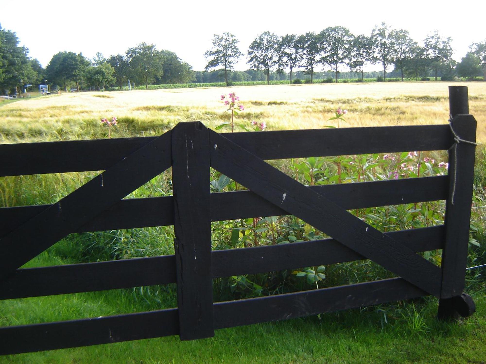 Bed En Breakfast De Boksloot Ravenswoud Exterior foto