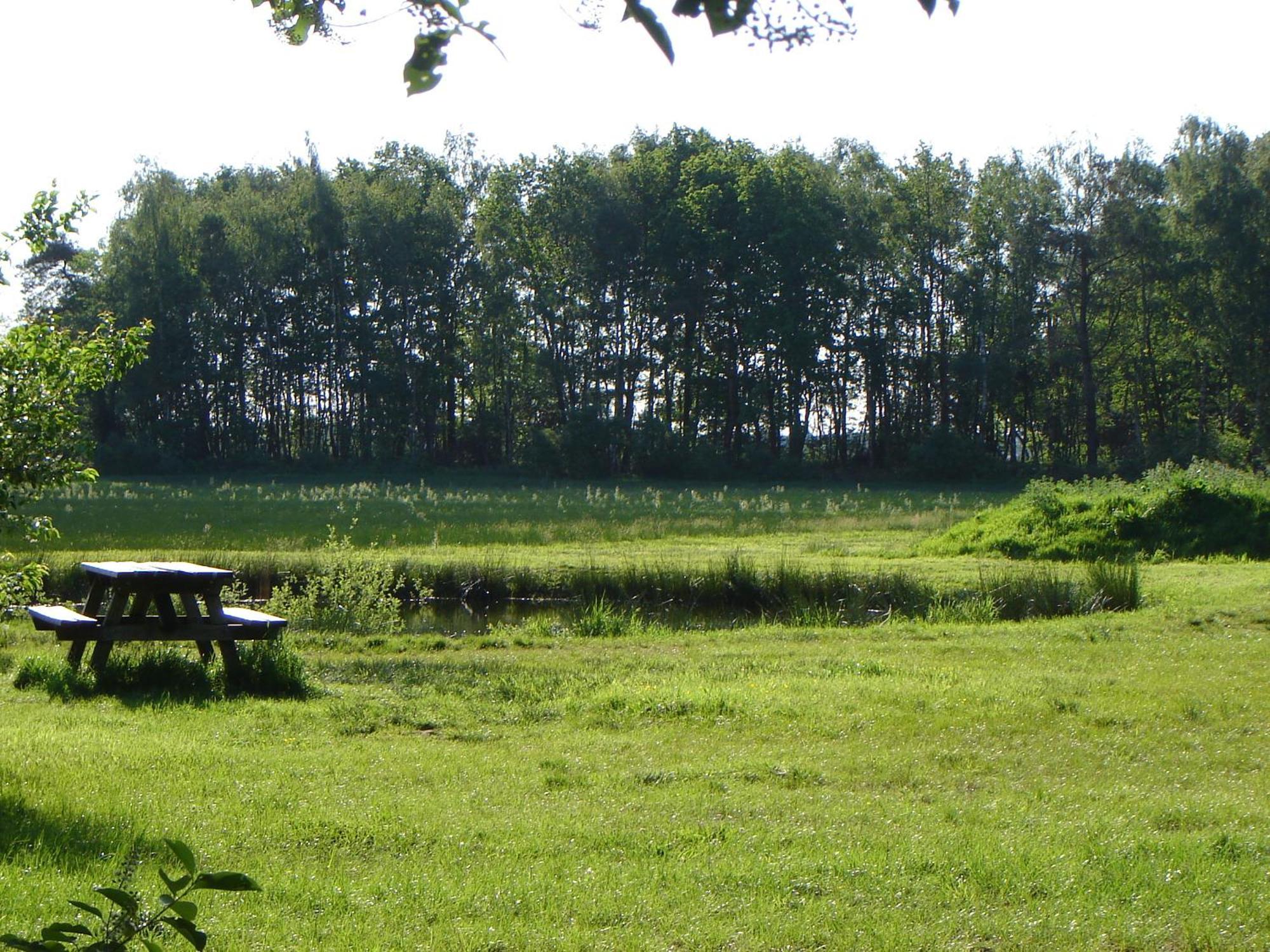 Bed En Breakfast De Boksloot Ravenswoud Exterior foto