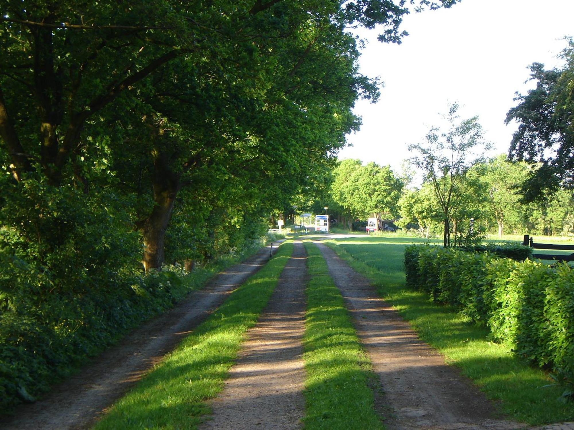 Bed En Breakfast De Boksloot Ravenswoud Exterior foto